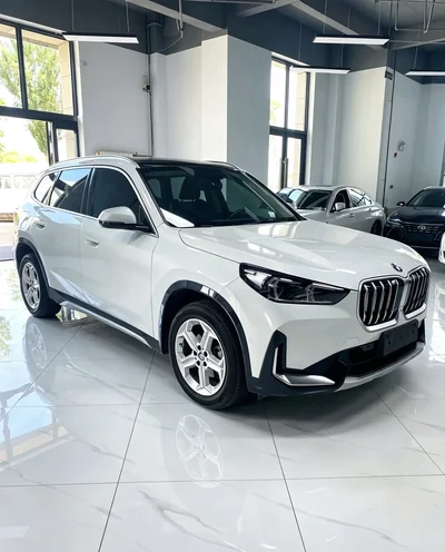 Фото 1 BMW X1